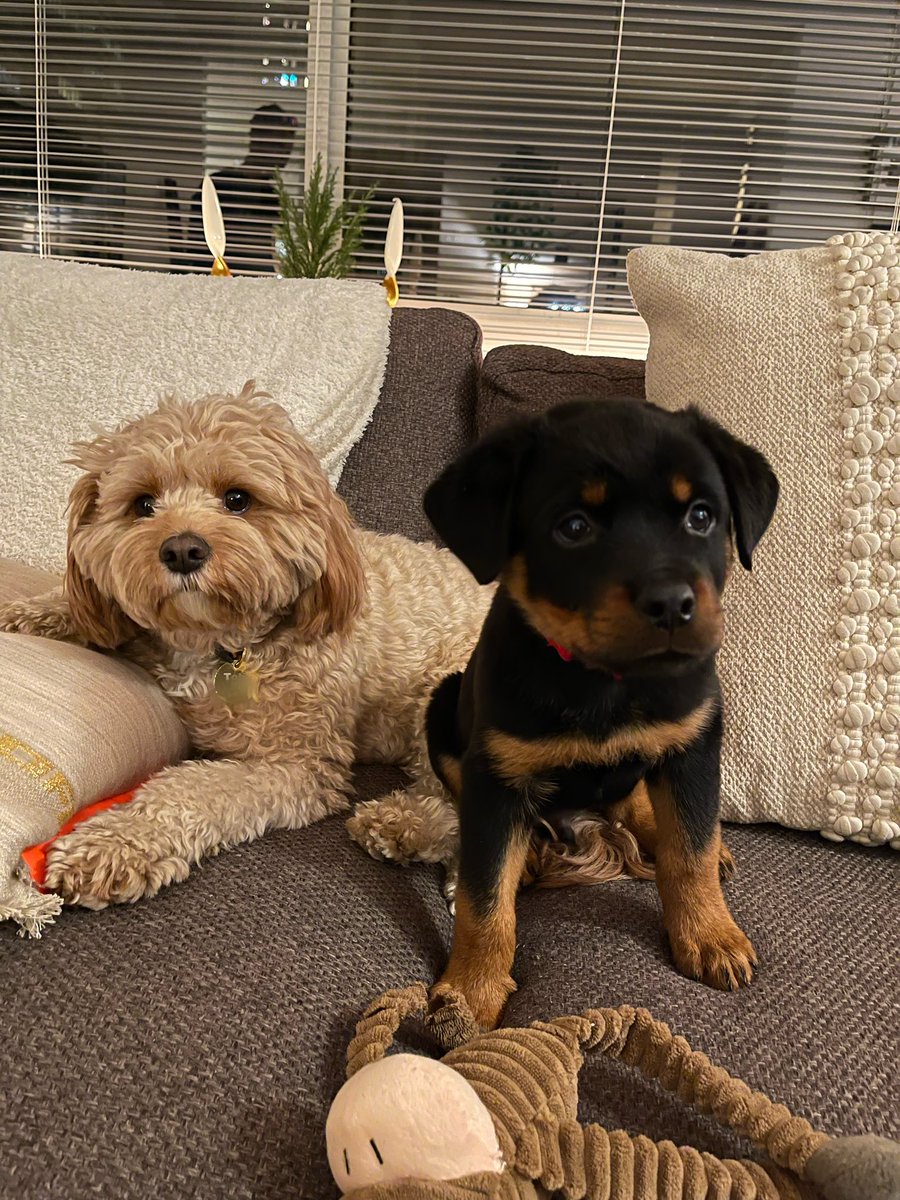 OliviaAmatoNYC's tweet photo. in case ur having a bad day https://t.co/of45C9stR0