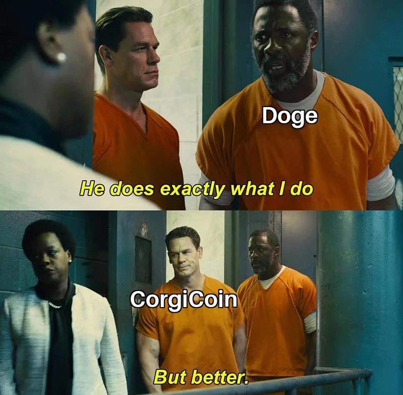 corgi_express's tweet image. #Corgicoin is the future!