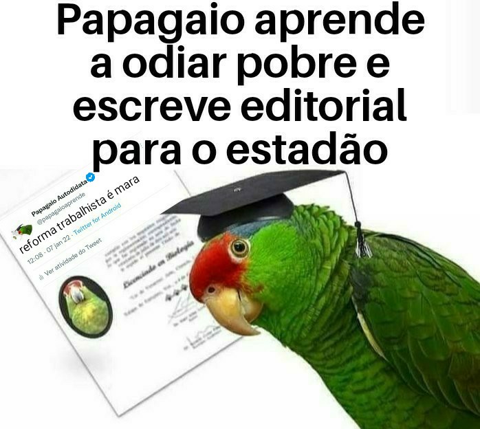 fiscalgafieira's tweet image. 