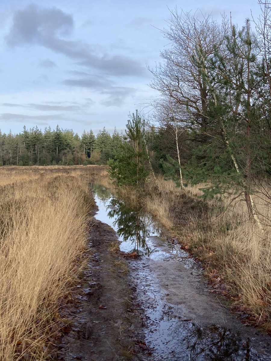 Genoten in het natte hart v. Drenthe <a href="/staatsbosbeheer/">Staatsbosbeheer</a>