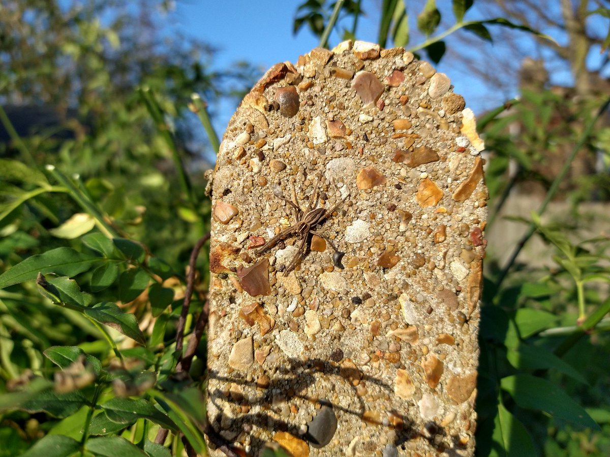 Catching some winter rays!