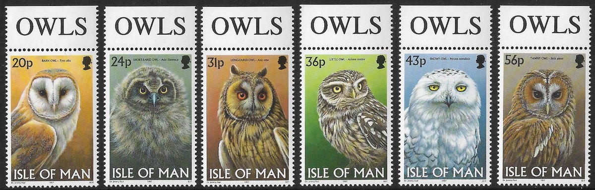 Some fabulous Owl stamps now available in my #etsy shop: 1997 Isle of Man Birds Owls unmounted mint unused stamps x 6 etsy.me/3q8cXuW #collage #owls #birds #isleofmanstamps #vintagestamps #postagestamps #artsandcrafts #queenelizabethii