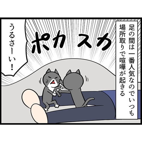 【漫画】猫兄妹が飼い主の布団でポジション争いした結果 悲鳴をあげつつ許してしまう飼い主に愛を感じる https://t.co/wA3dzLMWcM @itm_nlabより 