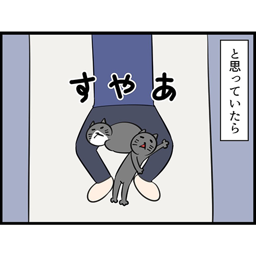 【漫画】猫兄妹が飼い主の布団でポジション争いした結果 悲鳴をあげつつ許してしまう飼い主に愛を感じる https://t.co/wA3dzLMWcM @itm_nlabより 