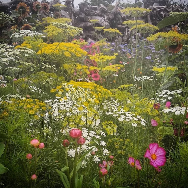 Benjamin Ranyard tweet media