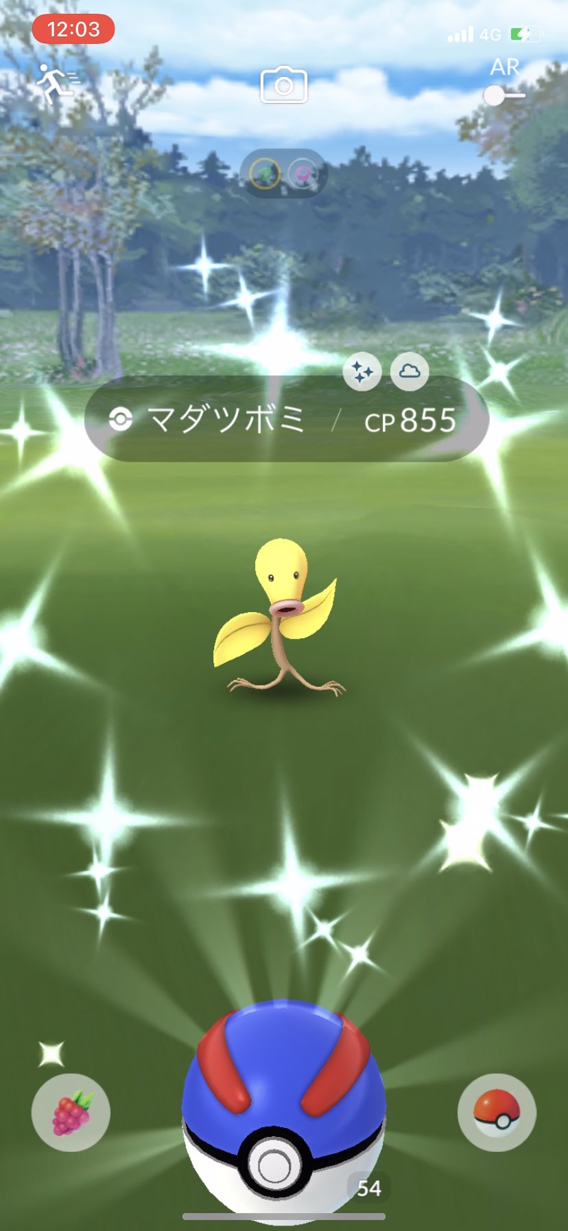 アメツバメ222 マダツボミ色違い ヒトカゲ色違いが出ました マダツボミは2体目なので進化させようかな ウツドンで止めるか ウツボットまで進化さすか この色違い好きなんだよな あといつ見ても ヒトカゲってポケモンは素晴らしいと思う
