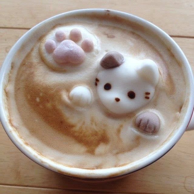 Dolce (@daily_dolce) on Twitter photo 