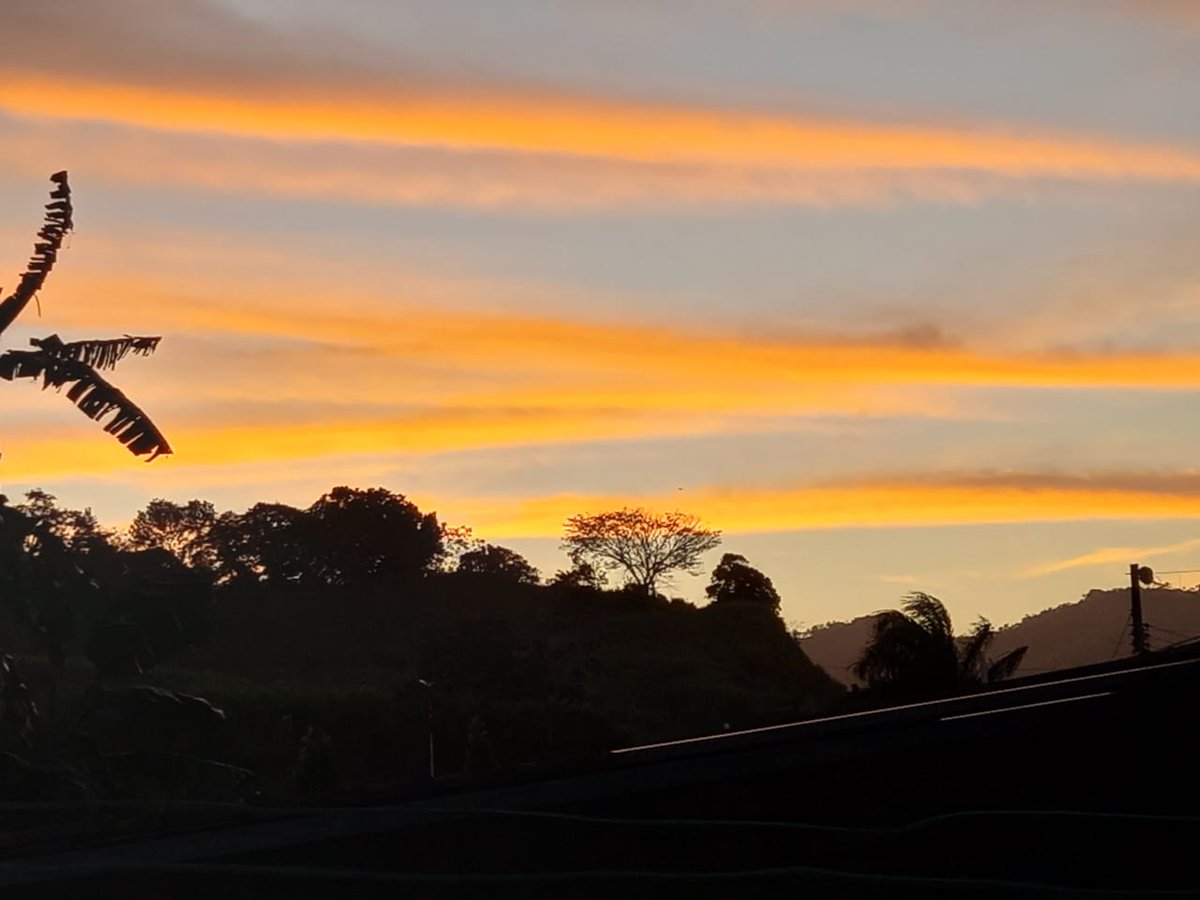 LupeBoyce's tweet photo. Muy buenos días, con el lindo atardecer de ayer.
#DesdeMiPatio
#Foto https://t.co/vtI8gqr9Go