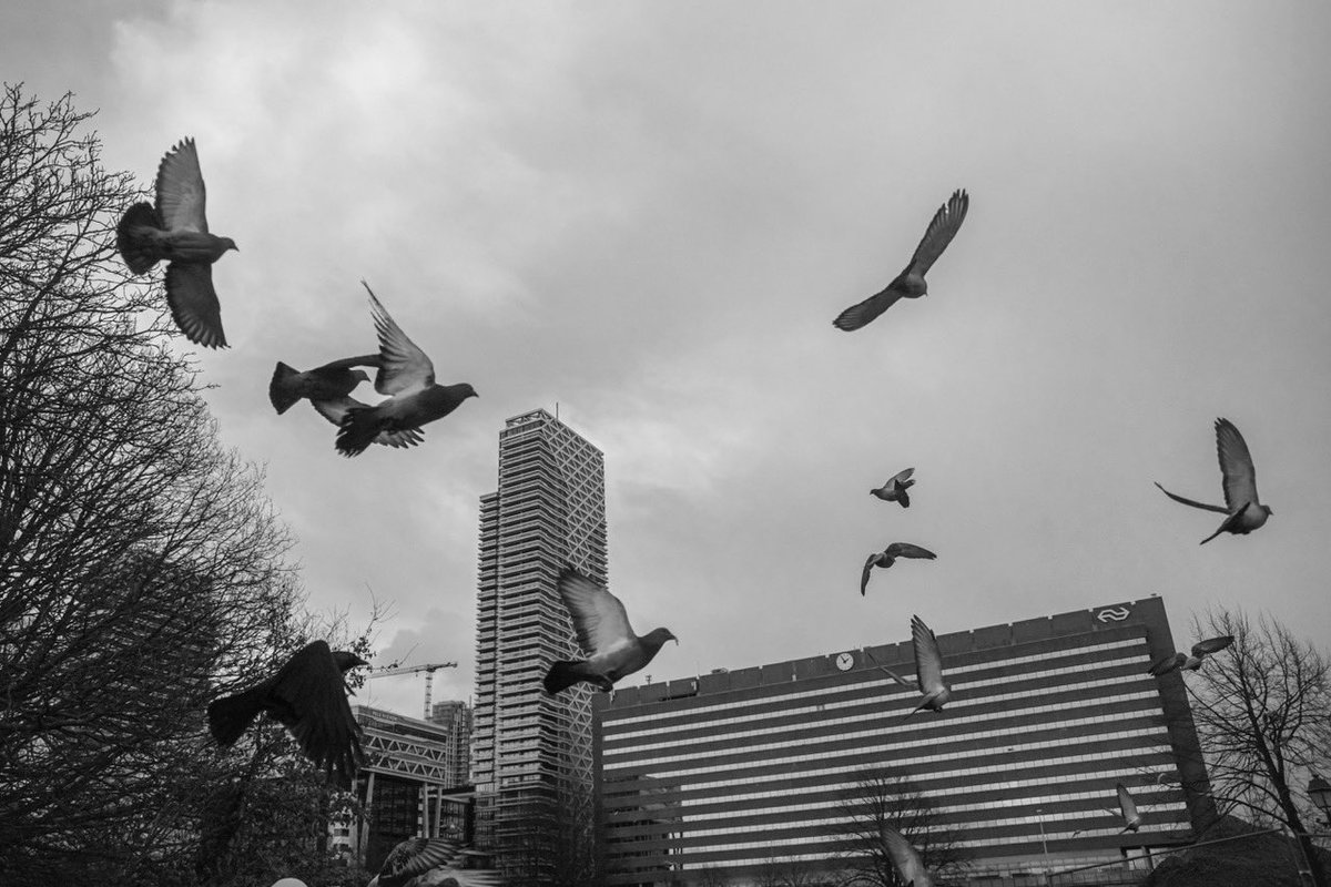 steefvanes's tweet photo. Klein beetje cultuur snuiven rondom Den Haag Centrum
#denhaag #denhaagcentraal #holland #straatfotografie #streetphotography #blackwhitephotography #photography #sonyalpha #sonya7 #sigma https://t.co/wUaLtpSpuj