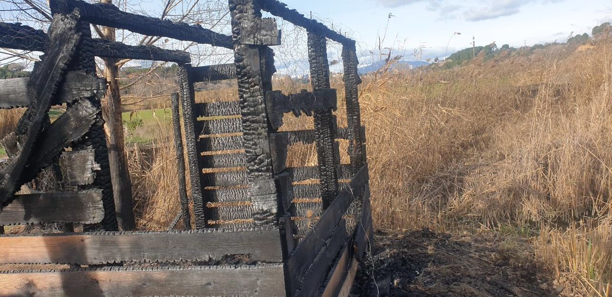 fabiadiazcortes's tweet photo. Han tornat a destrossar observatori d’aus del #MolíVermell al #ParcFluvialRipollBdv #BarberàDelVallès. Trencar amb la dinàmica treball engegada 2015-2019 per tenir eines de protecció del parc i augmentar presència ajuntament i sabemsa suposa més impunitat per alguns
📸 @Begoc111 https://t.co/0iL6ke3Cue