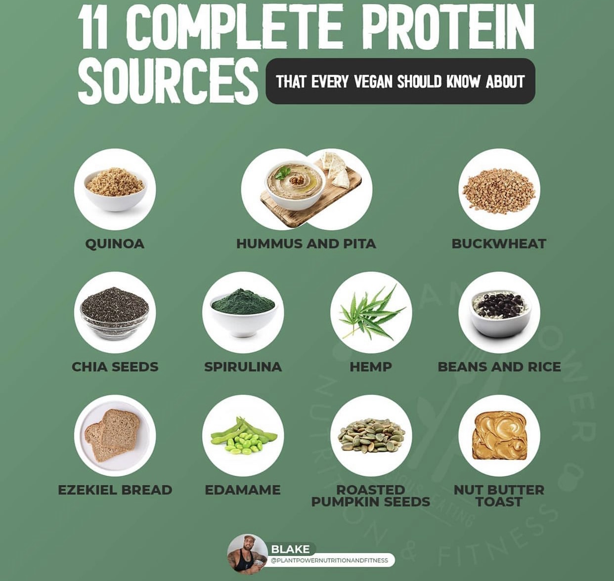 Vegan Future on Twitter: "11 protein sources /