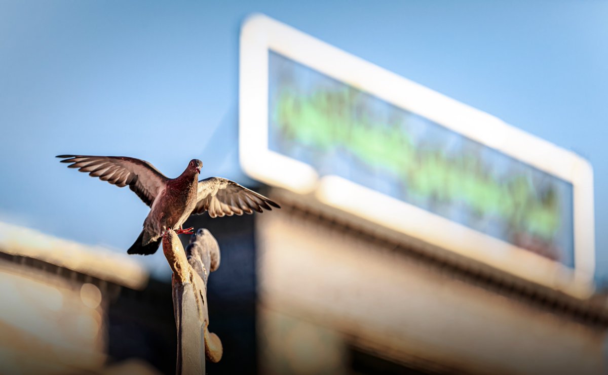 يا ذا القوة المتين ، ويا ارحم الراحمين ، أغننا واقض حاجتنا