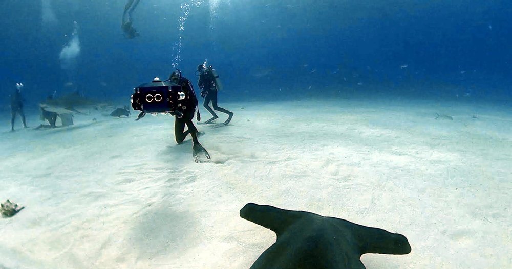 SD&A Conference tweet media