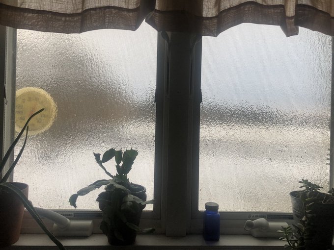 Not frosted glass, it&rsquo;s ice &hellip;yikes! https://t.co/Gdfm2bINIZ<a href="/tag/quarantine"class="tags"><span>#quarantine</span></a><a href="/tag/uckingjoke"class="tags"><span>#uckingjoke</span></a>