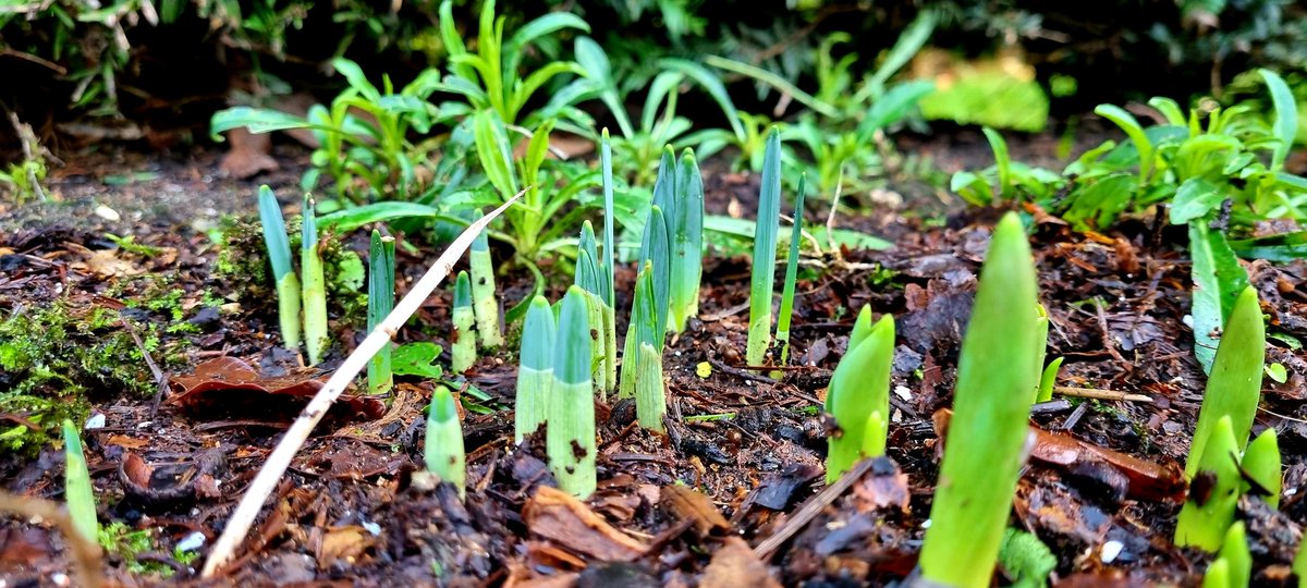 Rachel Morris MBE PLY tweet media