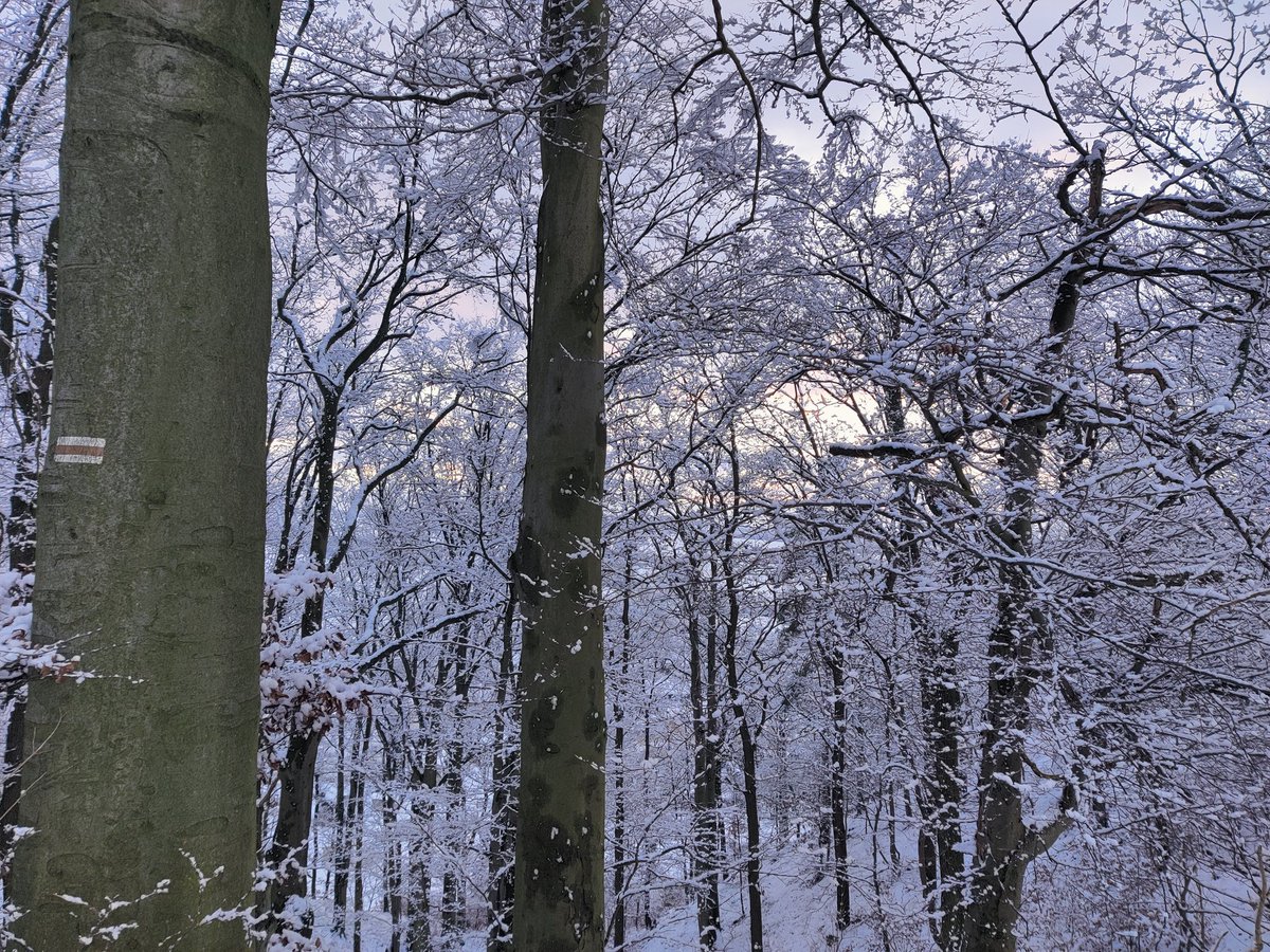 Jette871's tweet photo. Winterspaziergang https://t.co/464UEYr5J1