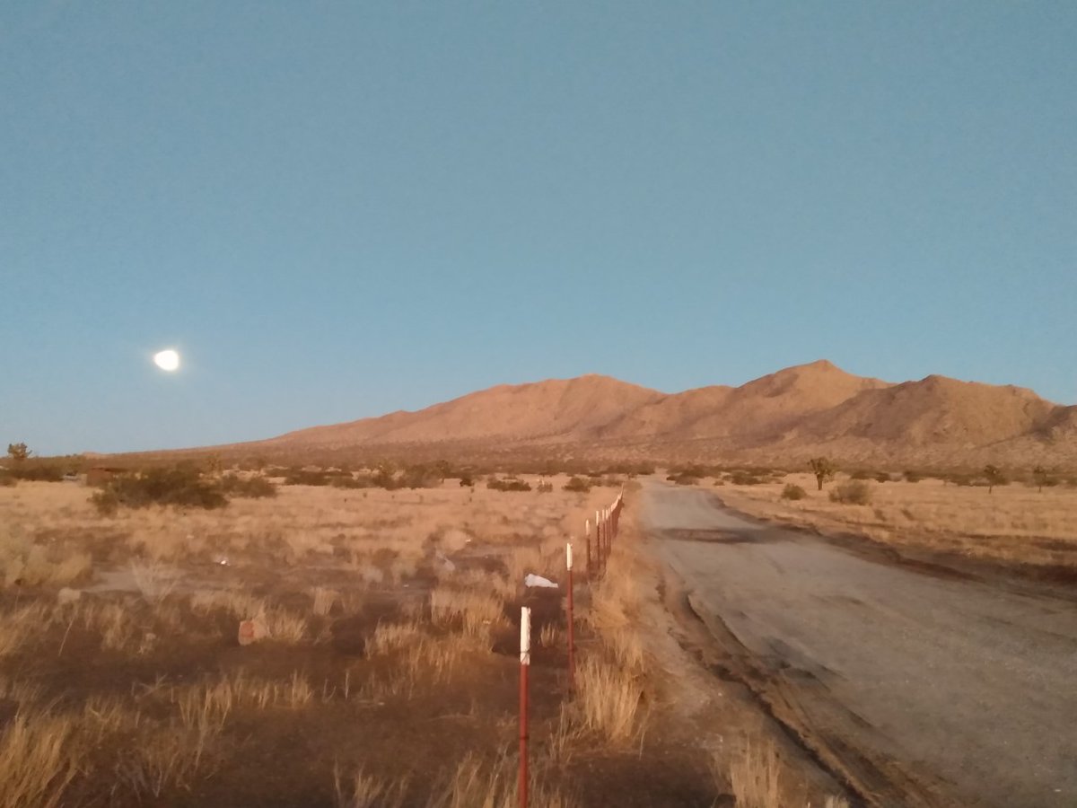 SaddlebackButte tweet media