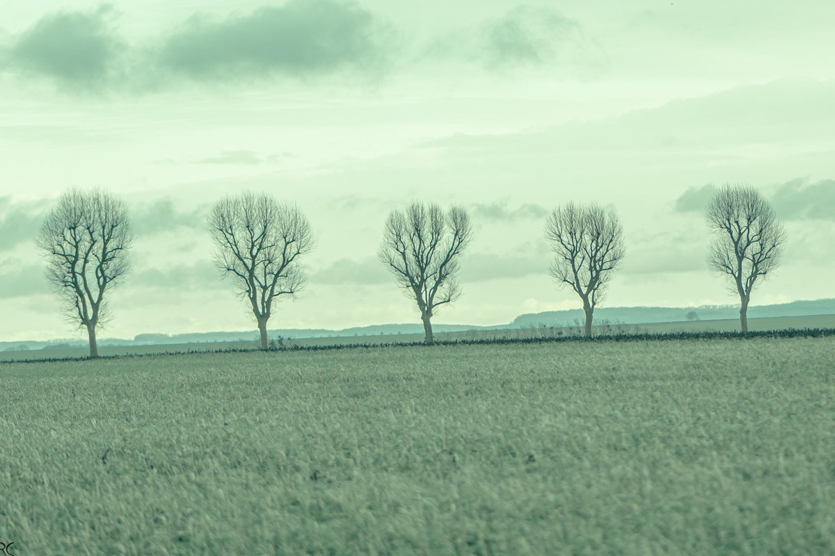 Regis CHUPIN (@chupinregis) on Twitter photo 