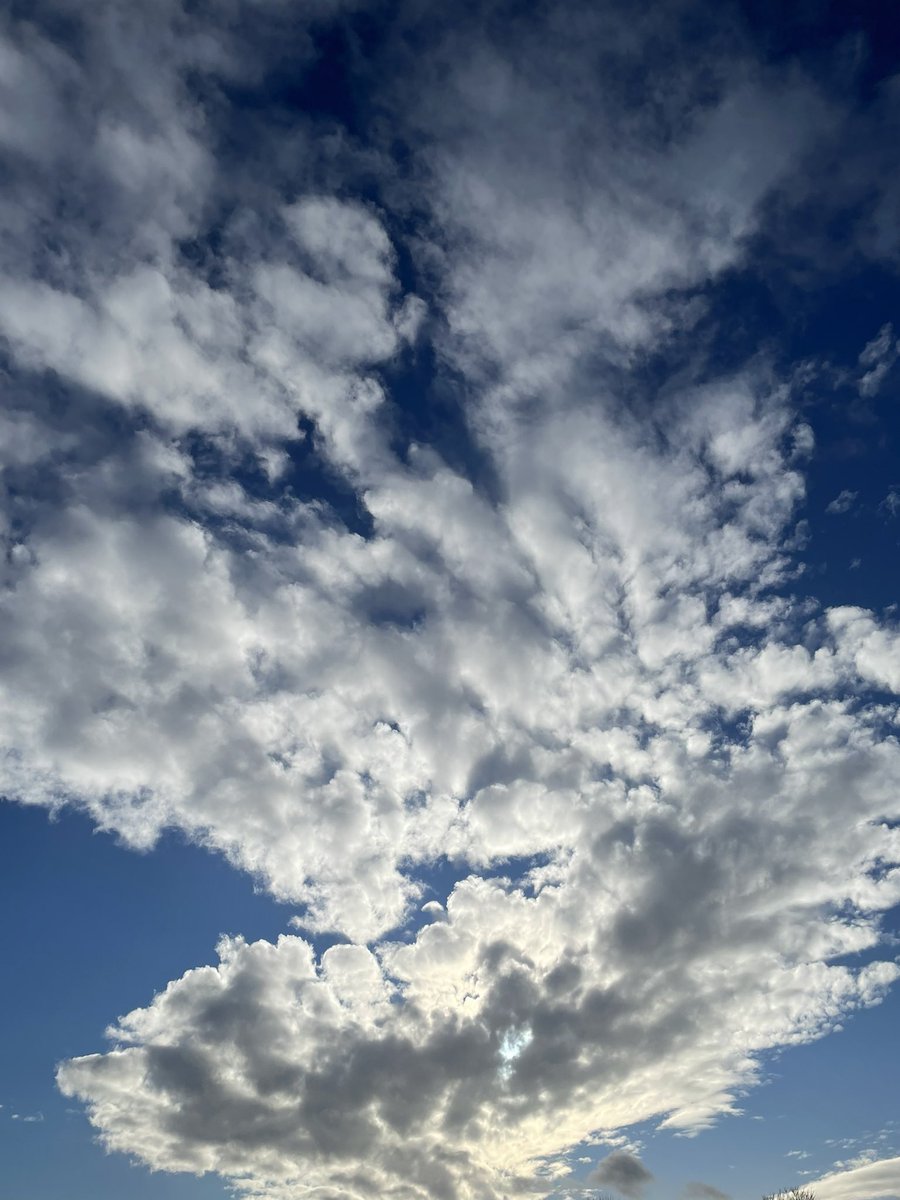 Jo Kelly (@jokelly89914076) on Twitter photo Well that’s week 1 complete for me a slow start at 40.5, but what was most important was taking sometime for me and focusing on my own well-being, and what better way to end the week walking under today’s beautiful sky❤️#NHS1000 <a href="/TashaGC/">Natasha Garraway-Charles 🇹🇹 🇬🇧 she/her</a> <a href="/mia_morris78/">Mia Morris</a> <a href="/KistoMarie/">MrsK</a> <a href="/LindaChibuzor/">Linda Chibuzor</a> Well that’s week 1 complete for me a slow start at 40.5, but what was most important was taking sometime for me and focusing on my own well-being, and what better way to end the week walking under today’s beautiful sky❤️#NHS1000 <a href="/TashaGC/">Natasha Garraway-Charles 🇹🇹 🇬🇧 she/her</a> <a href="/mia_morris78/">Mia Morris</a> <a href="/KistoMarie/">MrsK</a> <a href="/LindaChibuzor/">Linda Chibuzor</a>