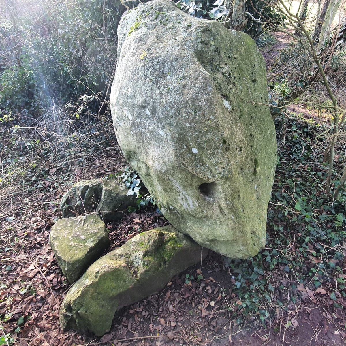 artspired's tweet photo. Hey #archaeology twitter - some interesting #Sarsen rocks in the undergrowth in Oxfordshire. Nothing marked on OS or English Heritage maps... more research needed! On a high spur overlooking Thames Valley at #Ipsden https://t.co/xMSGRJz5Wu