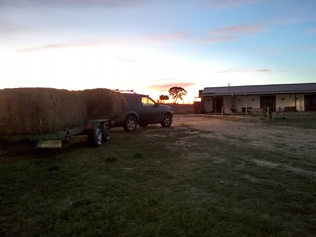 Finca Las dos Cruces tweet media