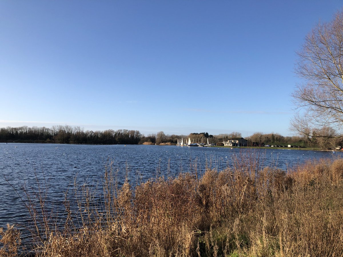 week2- 10.6miles (4miles 🏃‍♀️)  not spare time this week but couldn’t resist a run in today’s sunshine ( jasper dog makes a better pace setter than he does shadow subject) #1000NHSmiles