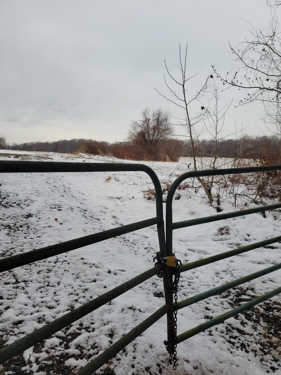 runSue19's tweet photo. The gray sky is back and rain for our Sunday morning run. #loveyourrun #teamultra #alteregorunning #mindovermatter #kingsvillerun #mistymiles #winterrun #keepmoving https://t.co/Kka7o0DkJ3
