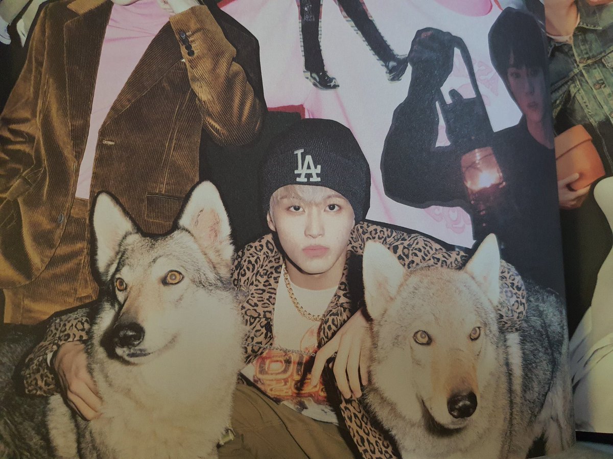 TW: ความรุนแรงเกี่ยวกับสัตว์ 
(ข้อความที่จะเขียนต่อไปนี้ถ้าใครอ่อนไหวมากๆ จะไม่อ่านก็ได้ แต่รบกวนลงชื่อเพื่อปกป้องน้องด้วยนะคะ)

ฝากรีเรื่องนี้ทีค่ะ น้องรูดี้ สุนัขที่เคยปรากฏตัวในเอ็มวี Blue Flame ของ ASTRO และภาพเจ็คเก็ตบั้ม Neo Zone ของ NCT 127 ตอนนี้น้องถูกเจ้าของทำร้าย