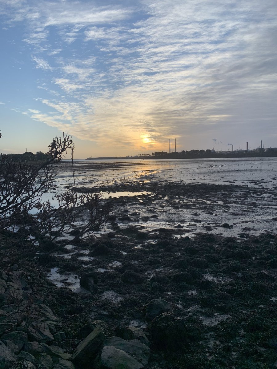 Mellany McLoone (@mermaidsea) on Twitter photo Day 9 of #100daysofwalking . Beautiful crispy day Day 9 of #100daysofwalking . Beautiful crispy day