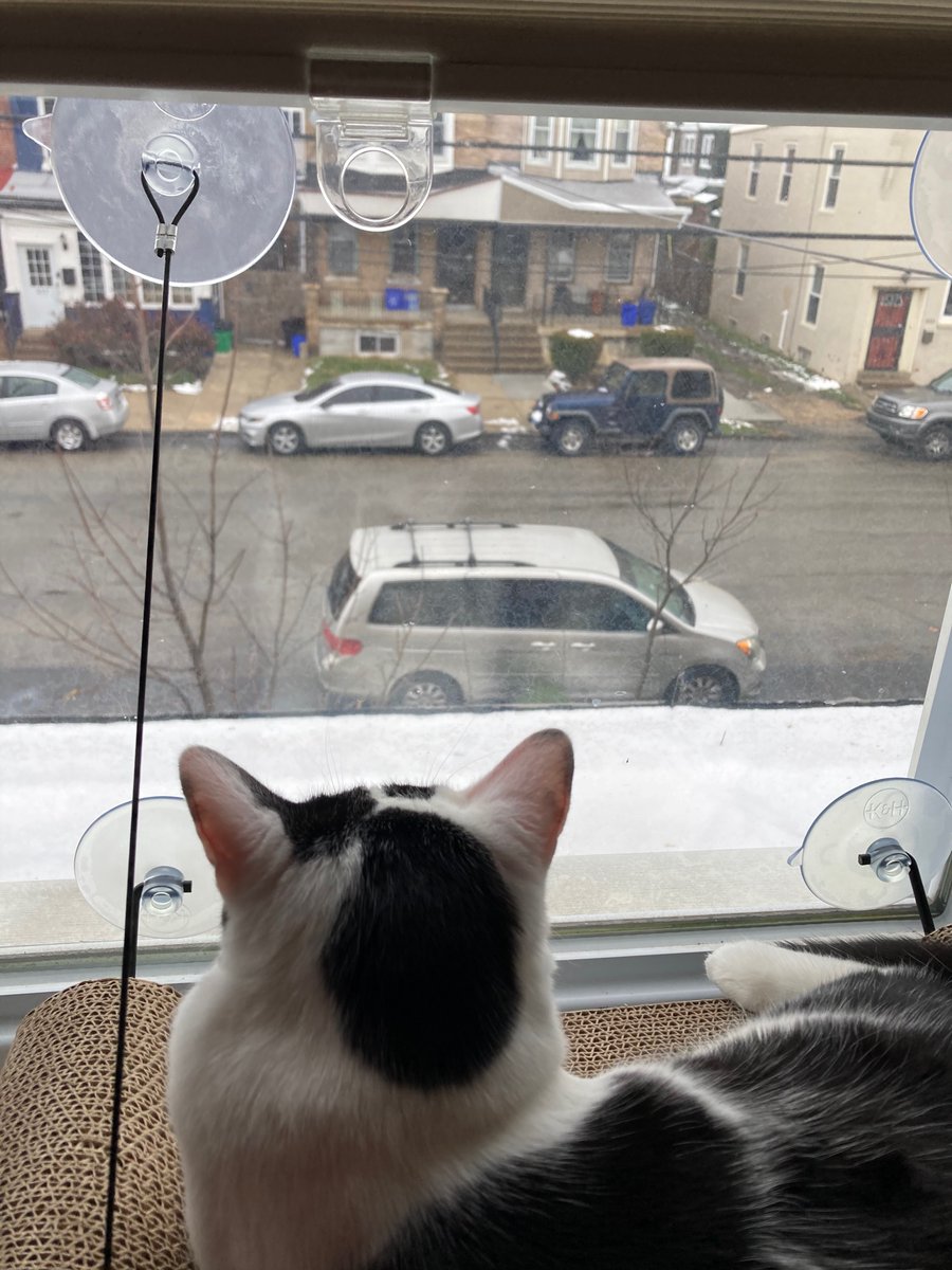 Sloane is v impressed with the spot Jenny got for Carmen’s car at NIGHT after the first snow of the season. Also visible is miss Anna’s jeep, in a decent spot. https://t.co/Ct0ExNE6Ya