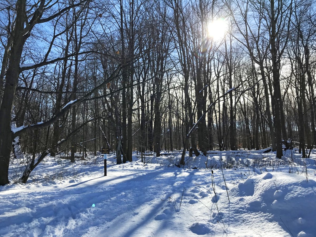 Deanna Conners tweet media