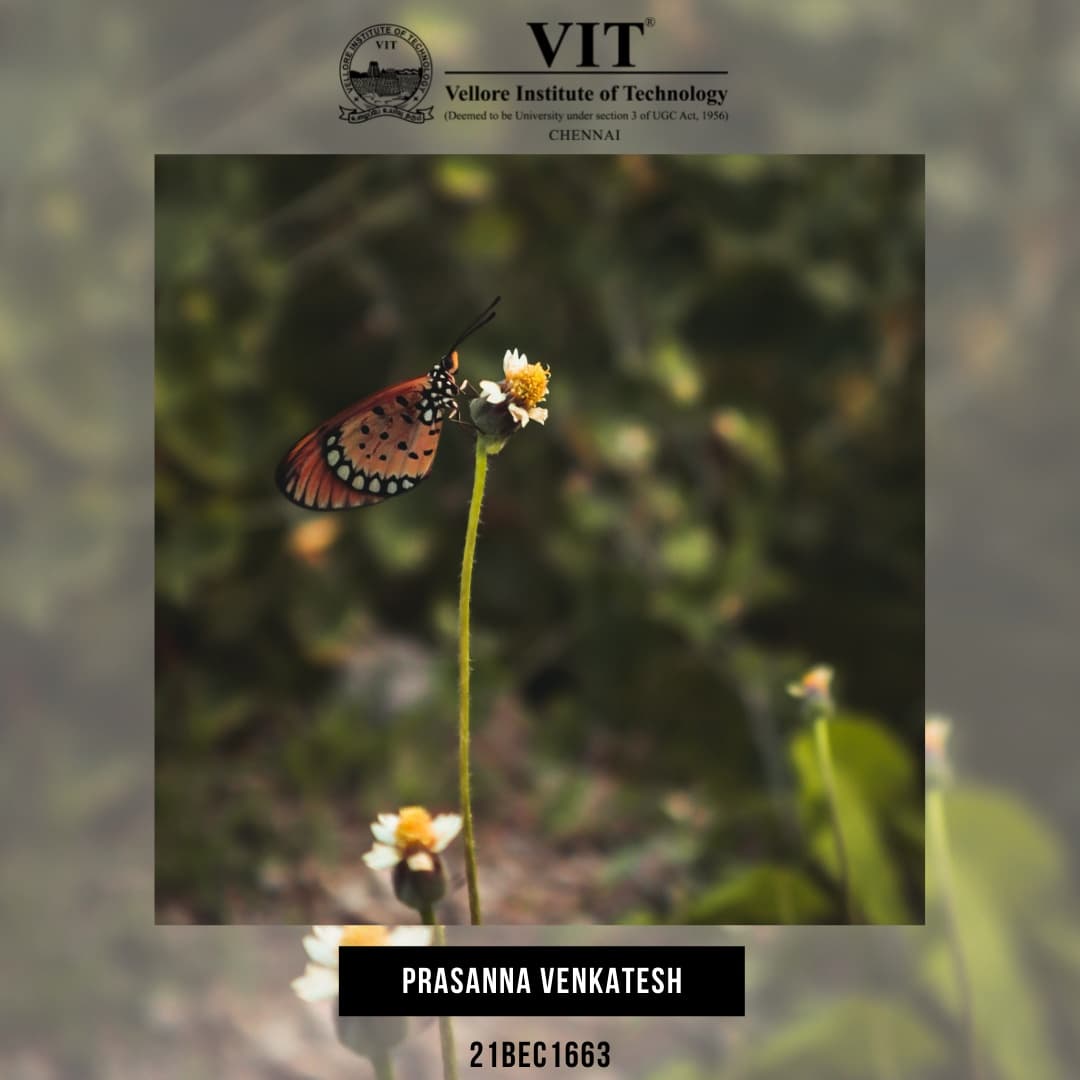ChennaiVit's tweet photo. Finding succour in nature - the brilliant engineer and builder.
#photosforlife #photographylovers #photoclicks📷 #studentphotographers #studentphotography #nature #naturephotography #sundaystudentsclicks https://t.co/TY9cITCP40