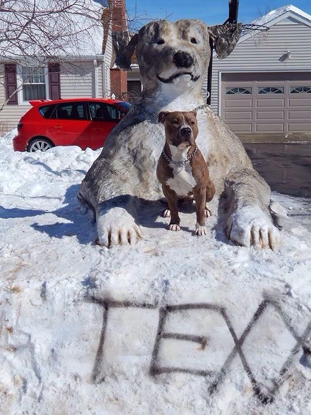 Another fabulous     #SnowSculpture               #Dogs