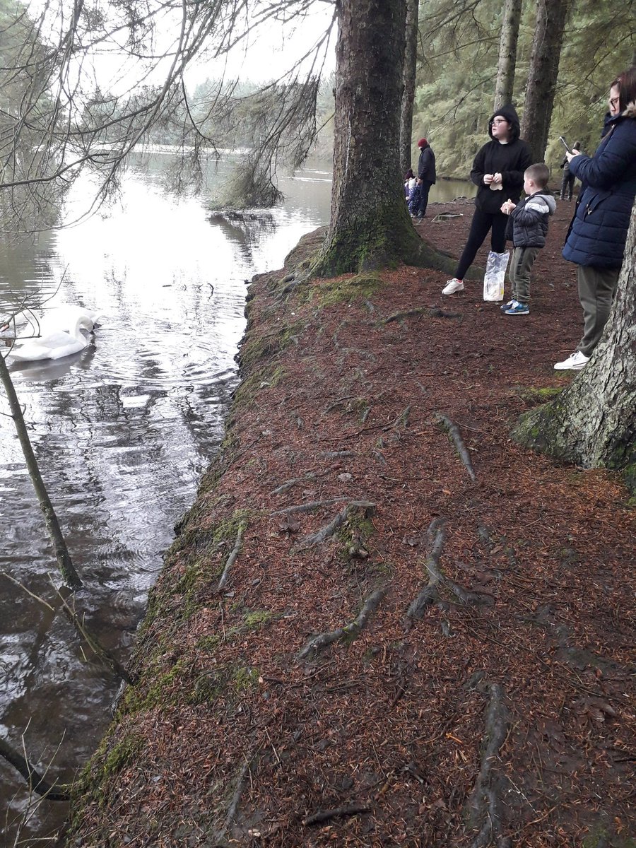 LoraCoyle's tweet photo. Nice Sunday morning/afternoon stroll with the cousins 😁💚💜 https://t.co/31rROSRxw4