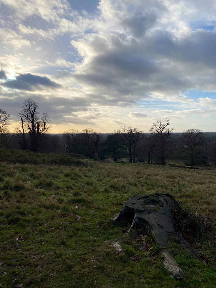 JasdeepB92's tweet photo. Starting 2022 with my first ever #TrailRun around #RichmondPark !!! The difference between off road and concrete is crazy!
Could have been wiser and not had an egg + bacon + halloumi + avo + gochujang mayo + sourdough toast for breakfast but oh well 🤷🏽♂️ #WeLiveWeLearn #NextPlz https://t.co/ipaeNyrD9E