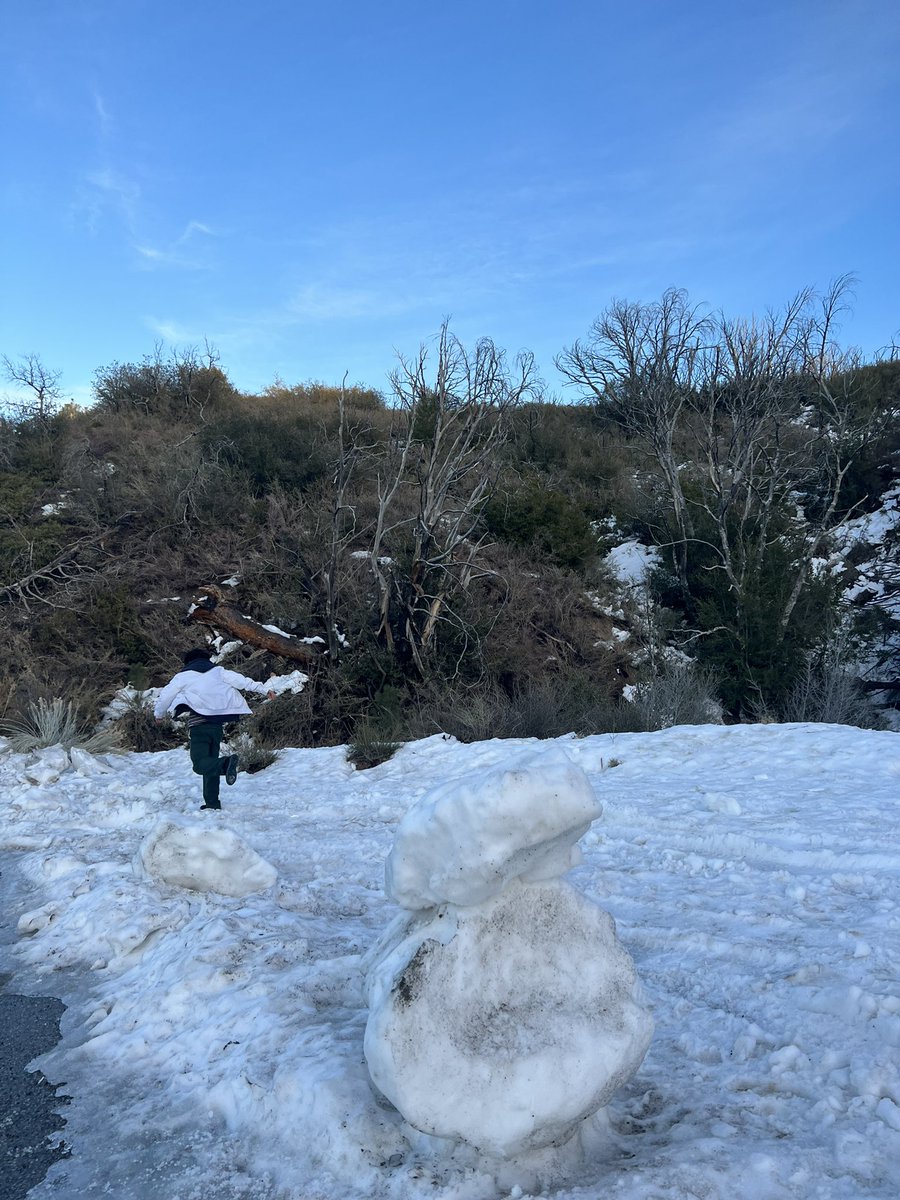 tougeshrk's tweet image. 