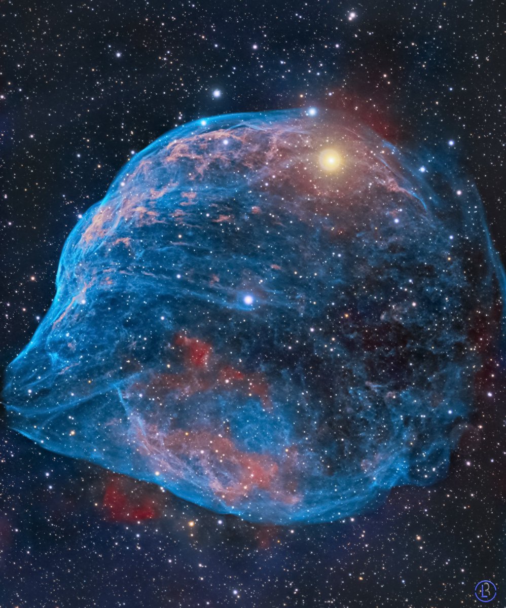 Dolphin Head #Nebula 🐬