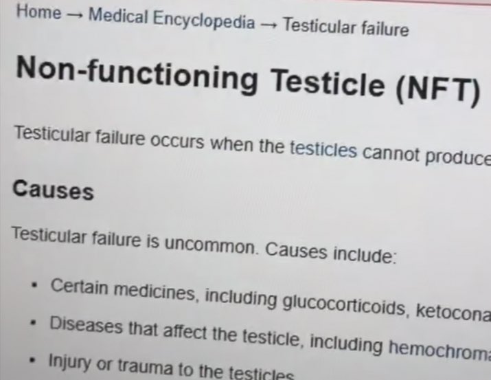 Sir Doge of the Coin ⚔️ tweet media