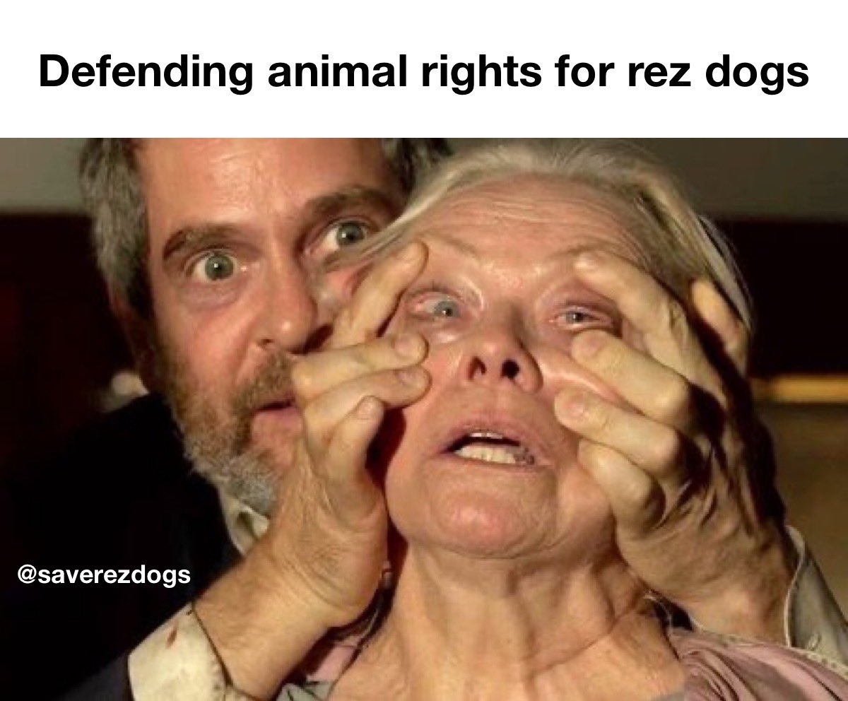 When will people start to realize rez dogs have animal rights too? 
We need more champions for rez dogs. We need more people to take initiative in their communities to help where help is needed.

#saverezdogs #rezdogs #indigenouscommunities #animalrights