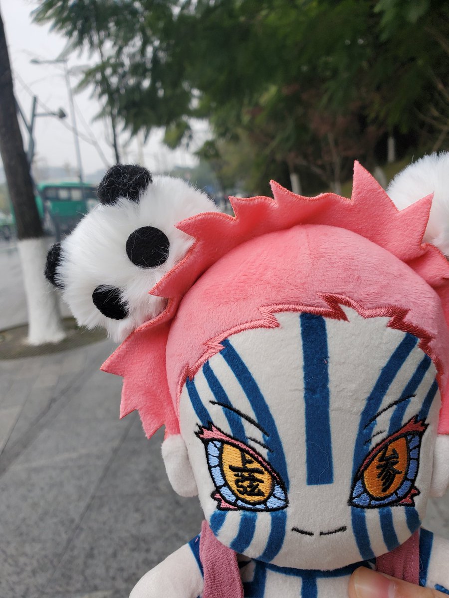 DENformaggio's tweet image. #熊貓
#小熊貓