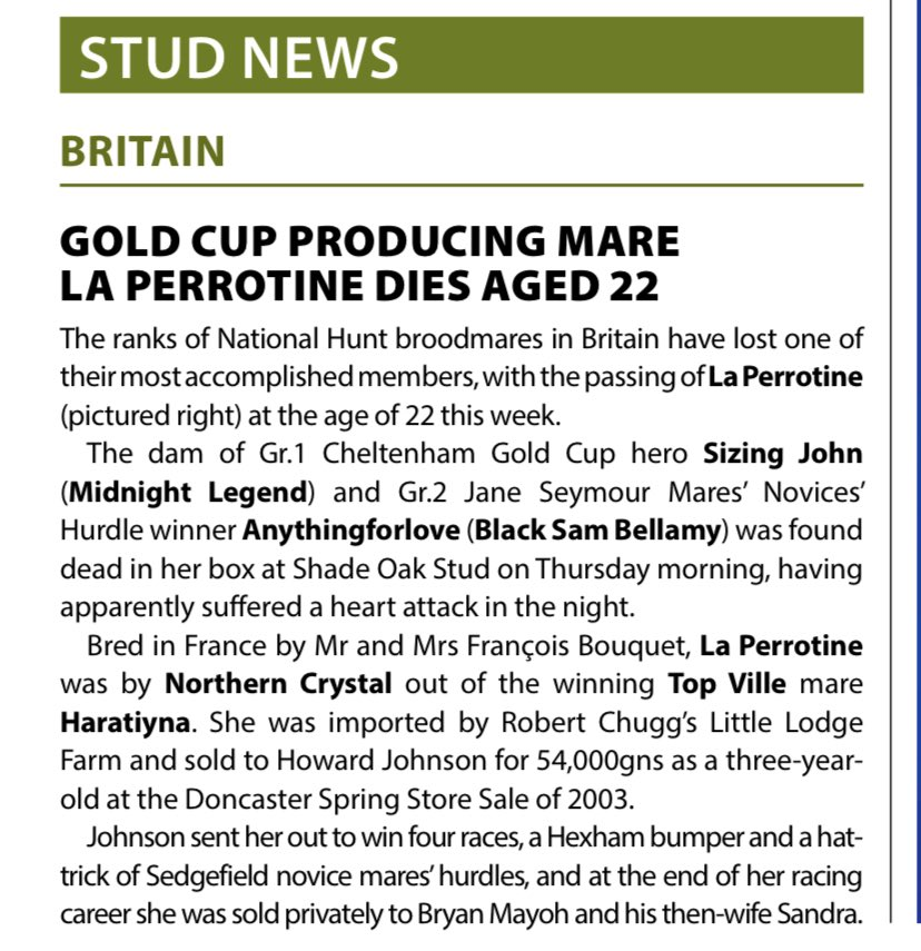 Eskdale_Stud's tweet photo. It was a sad day for us Thurs. 6/1 as we lost our Queen Bee #LaPerrotine. Thank you @MartinStevensB1 for such a lovely write up. She's was the foundation of our breeding programme. #SizingJohn #Anythingforlove #Scholastica #Deadringerforlove. Your legacy will live forever 🐎💎❤️ https://t.co/17GgMqNudz