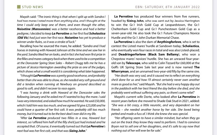 Eskdale_Stud's tweet photo. It was a sad day for us Thurs. 6/1 as we lost our Queen Bee #LaPerrotine. Thank you @MartinStevensB1 for such a lovely write up. She's was the foundation of our breeding programme. #SizingJohn #Anythingforlove #Scholastica #Deadringerforlove. Your legacy will live forever 🐎💎❤️ https://t.co/17GgMqNudz