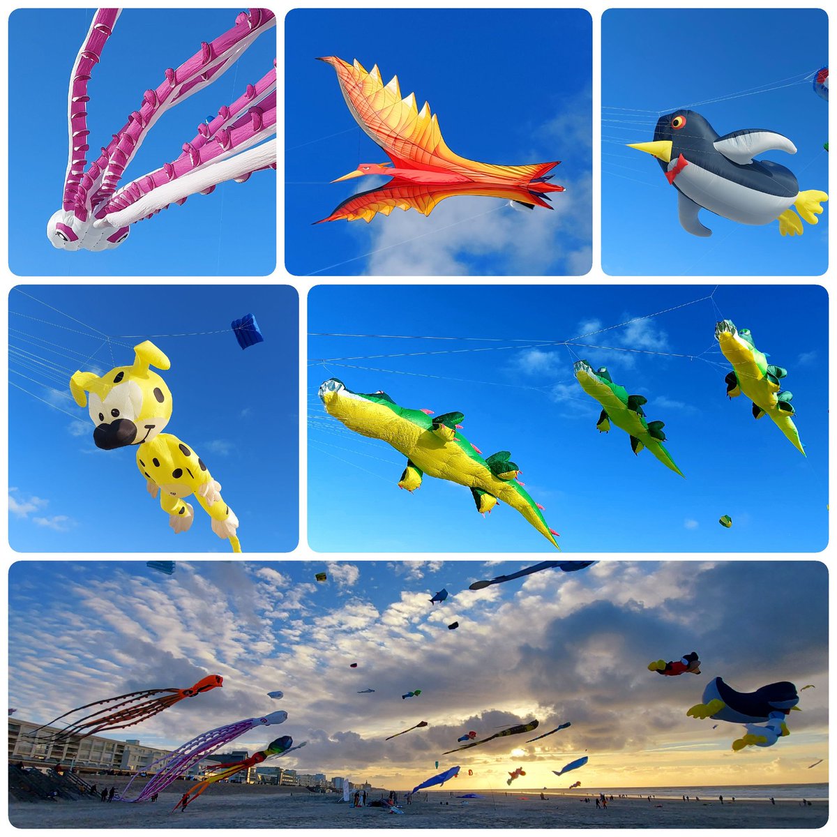 BercKite's tweet image. "Voler Ensemble" du 9/01/2022, avec bien évidemment aussi, la présence en nombre de Flandr'envol 👏👏