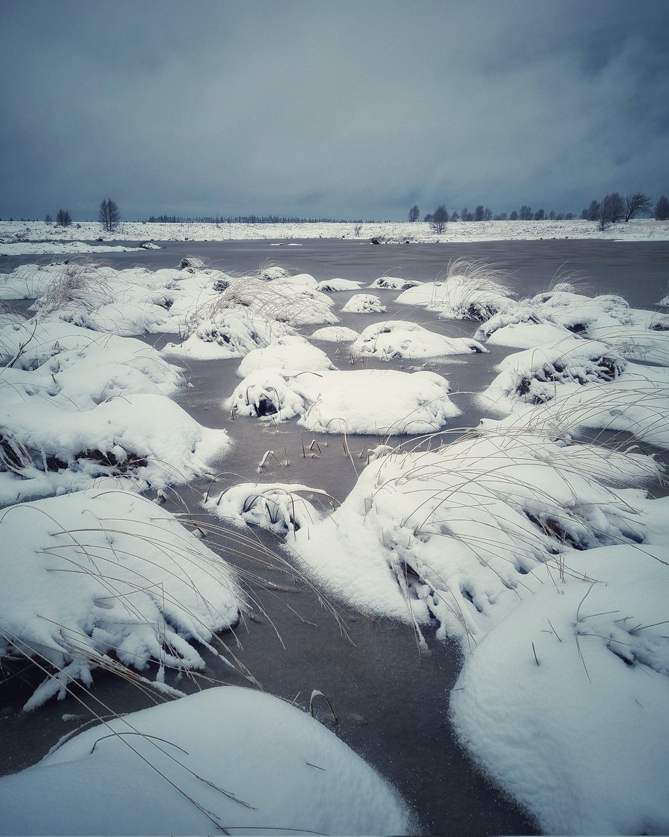 larslowinski's tweet photo. It was time for the first proper winter hike of the year in the High Fens nature reserve. Great conditions yesterday, even if there wasn't much "good" light to play with. #highfens #Eifel #snow #landscapephotography https://t.co/kPNua5xfd6