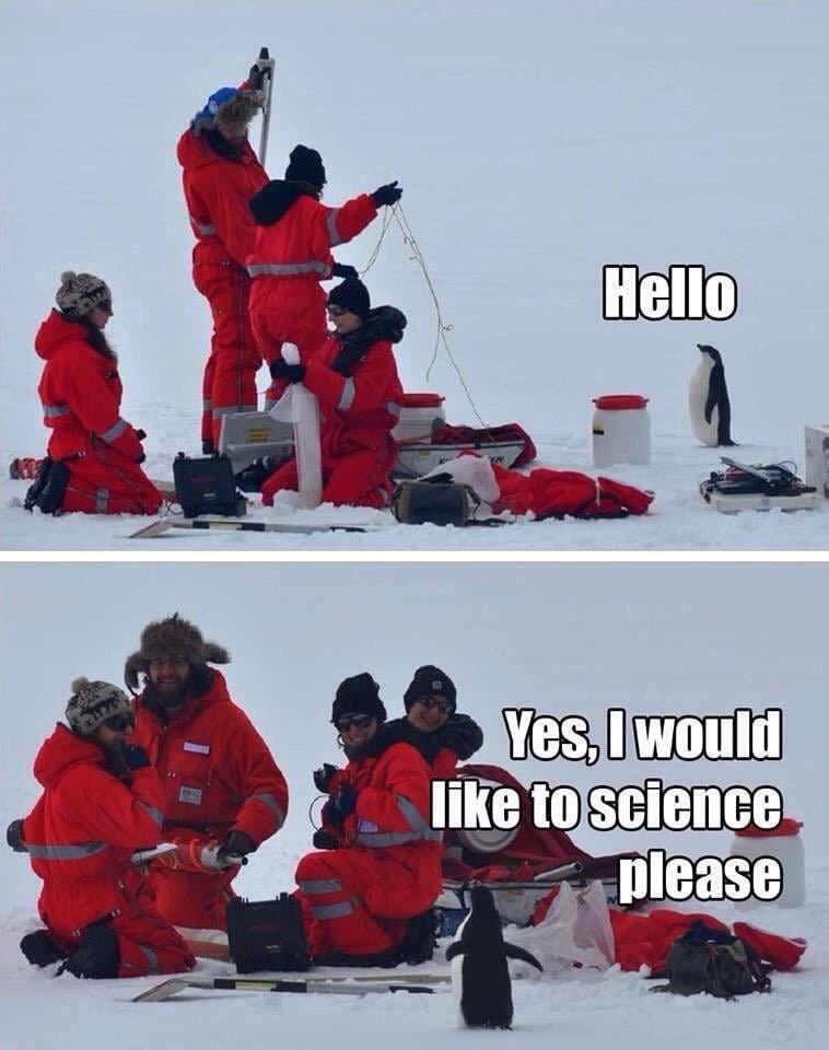 shailinthomas's tweet photo. Medical students trying to get some research experience https://t.co/m2fpuGRXsg