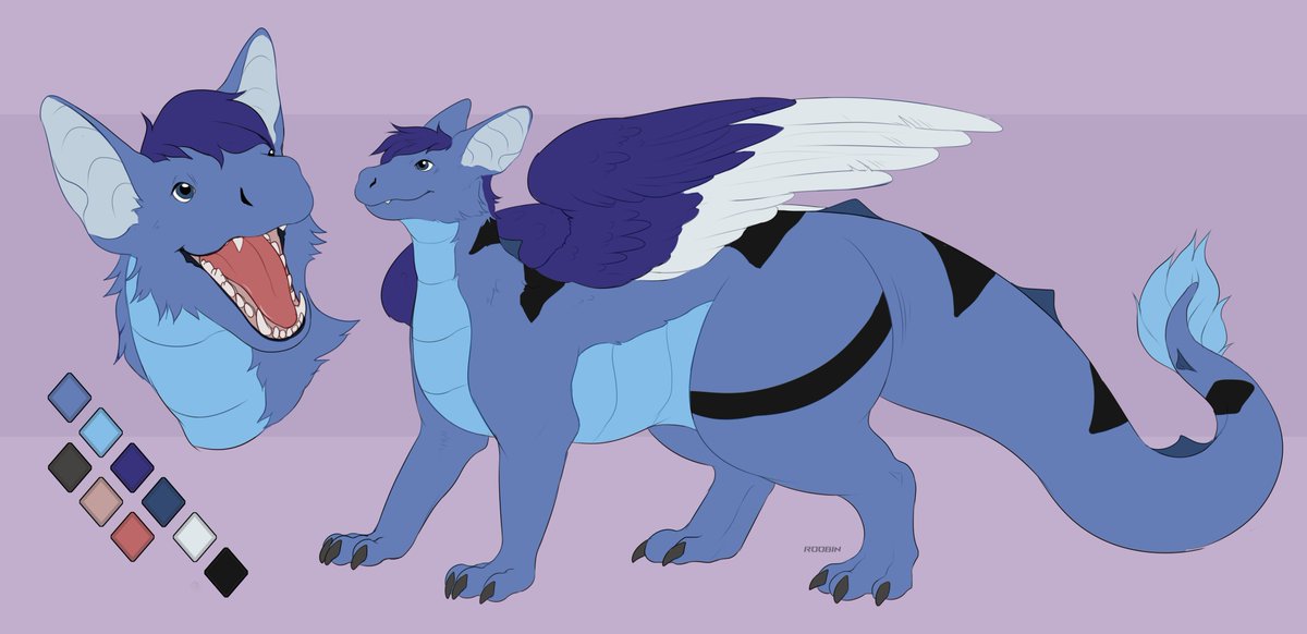 Blue Jay Derg tweet media