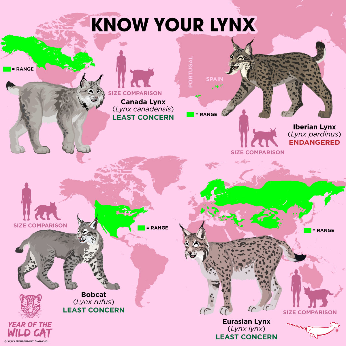 Lynx for Scotland 🐾🏴 (@lynx_scotland) on Twitter photo Can we get a wee bit of green on to Scotland one day?
#KnowYourLynx
#YearOfTheWildCat #YOTWC
<a href="/PepomintNarwhal/">Peppermint Narwhal</a> Can we get a wee bit of green on to Scotland one day?
#KnowYourLynx
#YearOfTheWildCat #YOTWC
<a href="/PepomintNarwhal/">Peppermint Narwhal</a>