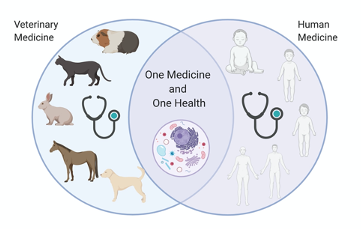 Sharon Deem tweet media