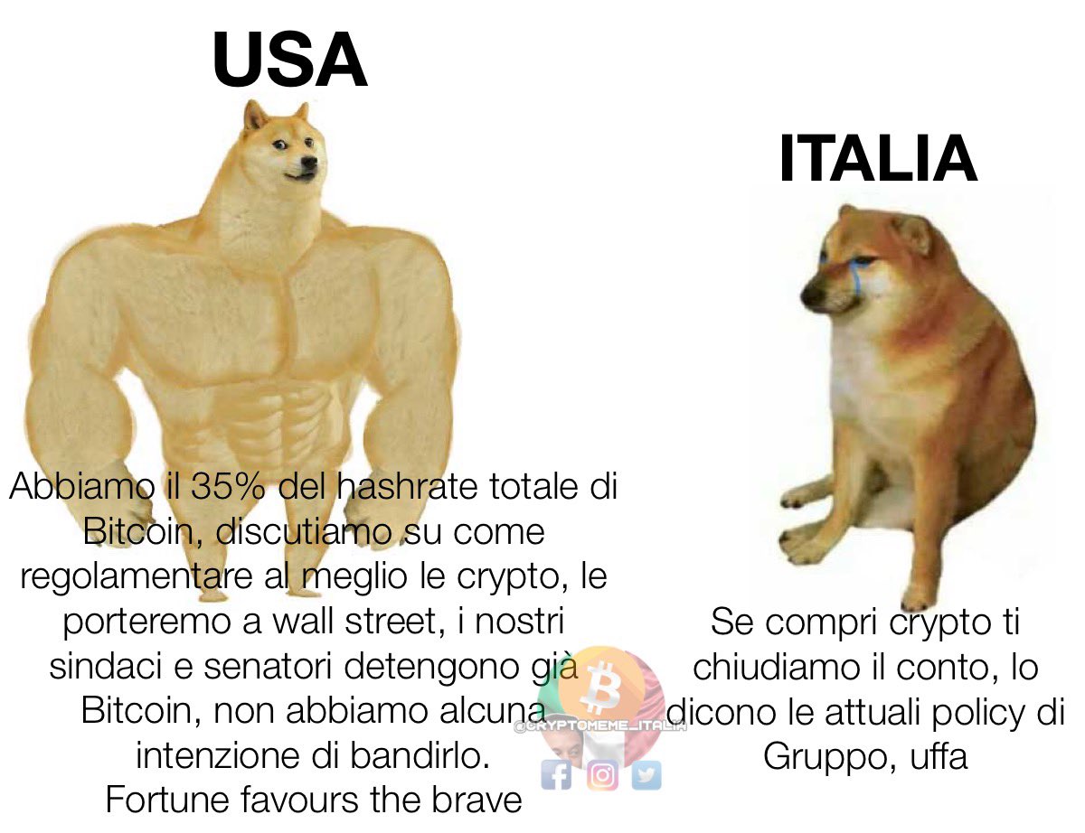 DCryptenstein's tweet image. 