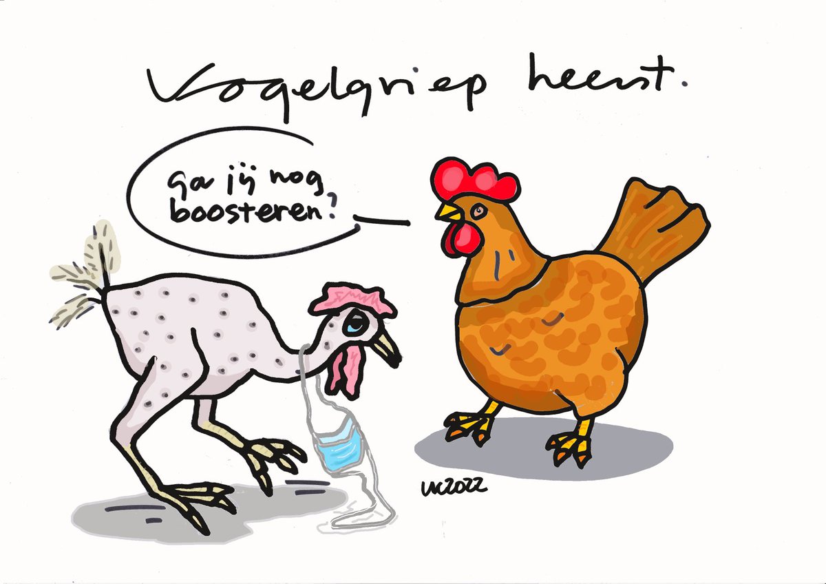 #Cartoon #Vogelgriep heerst  #Boosteren #vaccineren #enten #kippenvel #mondkapje #omicron #corona